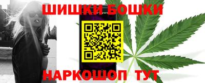 спайс Кингисепп